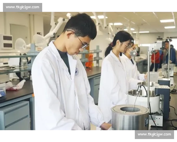 围绕阶段目标驱动高效执行与成果转化的系统化实践路径探索