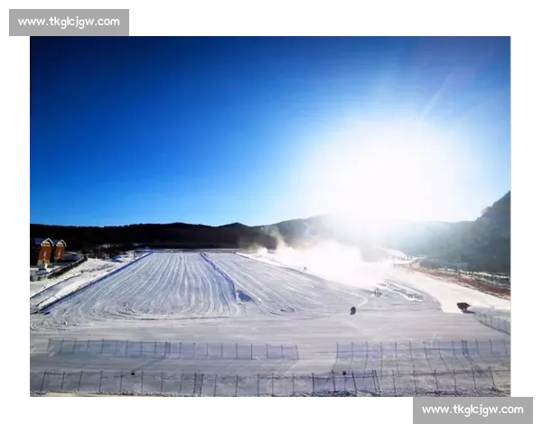 巅峰对决冰雪盛宴滑雪赛事全景回顾与精彩瞬间解析